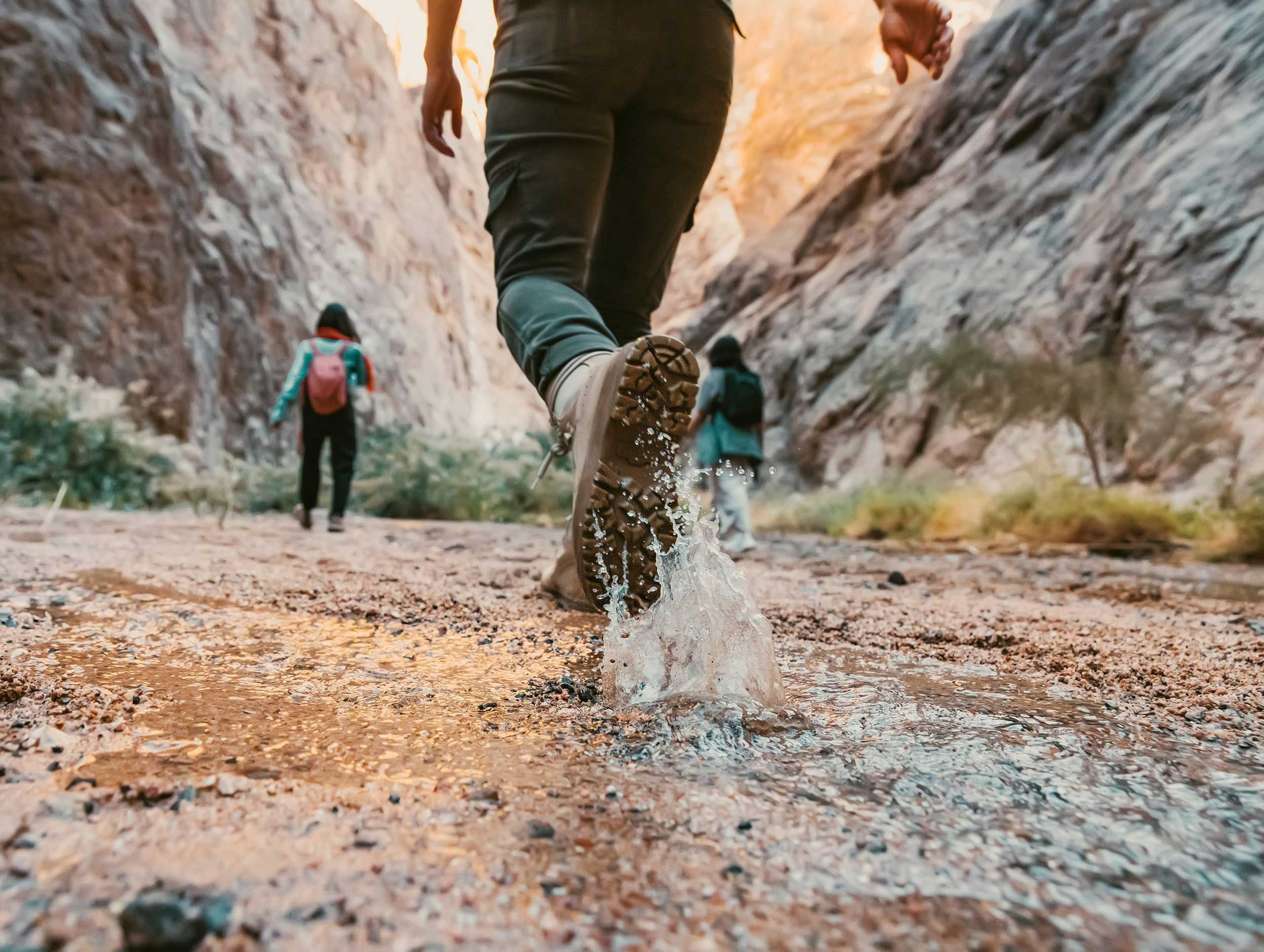 Hiking | Las Vegas | Red Rock | Mount Charleston