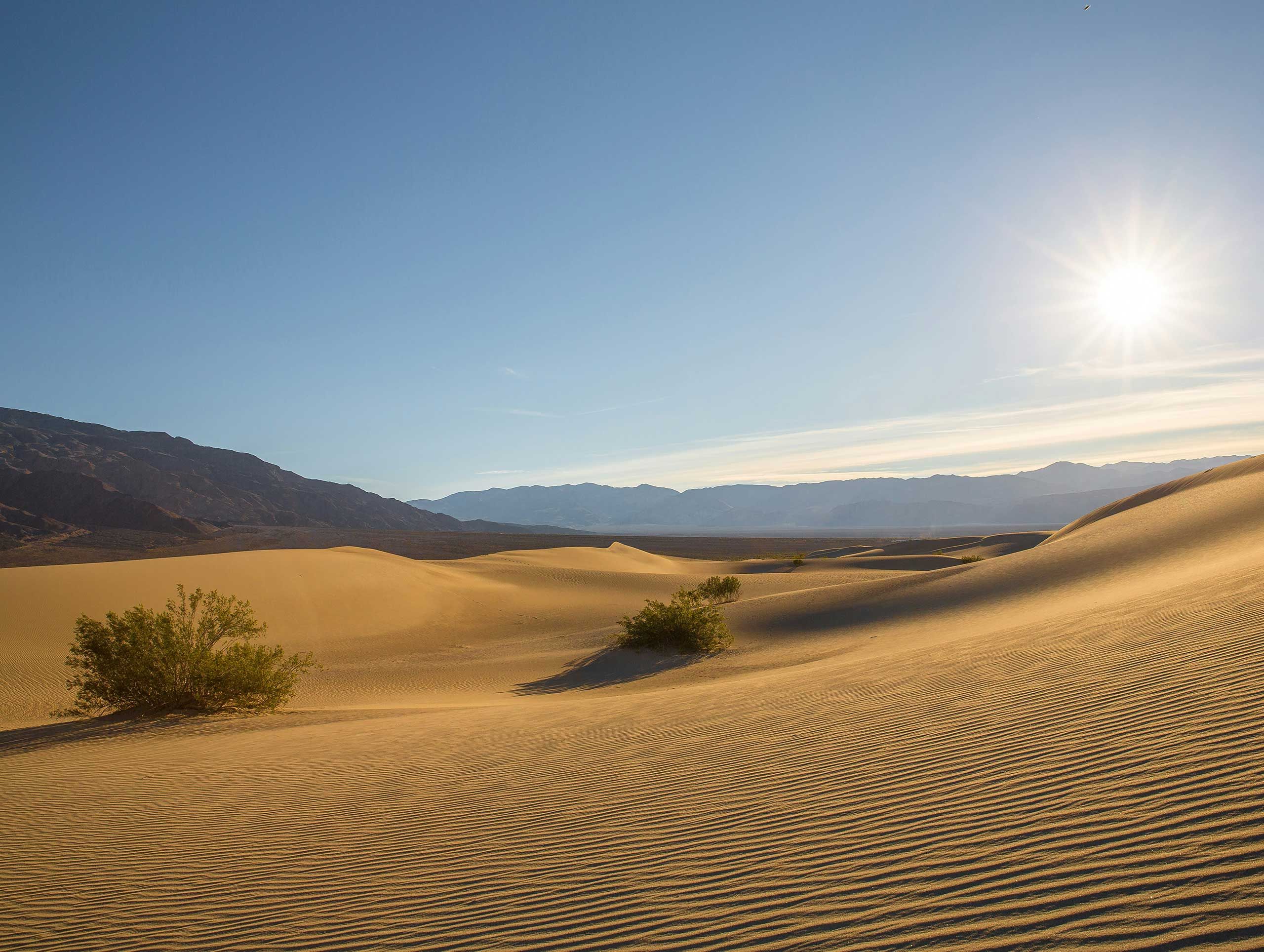 Death Valley | California